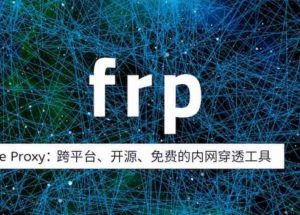 frp v0.68：开源内网穿透工具简洁教程，新增 AI 能力：持久化存储、API 支持，可由 AI 添加、删除代理 7