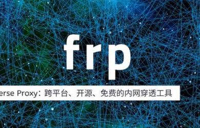 frp v0.64.0 更新：開源內(nèi)網(wǎng)穿透工具，最簡潔教程 2