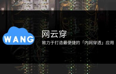 適合全平臺使用的免費內(nèi)網(wǎng)穿透工具，搭建我的世界（Minecraft）服務(wù)器、遠程 SSH 等 12