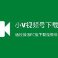 小V视频号下载工具 - 通过微信PC版下载视频号视频 1