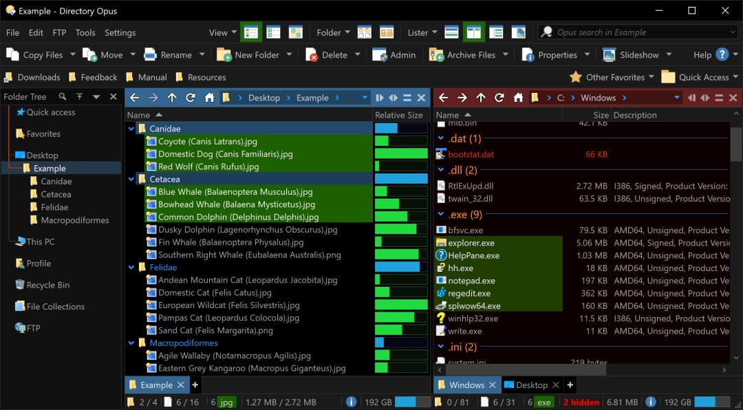 增強型文件管理器 Directory Opus 13 限時 85 折,買斷只要 160.65 元 4 增強型文件管理器 Directory Opus 13 限時 85 折,買斷只要 160.65 元 4