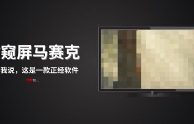 防窺屏·馬賽克 - 你聽我說，這是一款正經(jīng)軟件 2