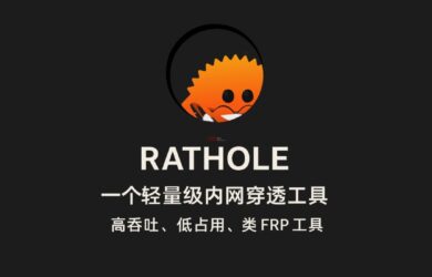 rathole - 一個輕量級開源內(nèi)網(wǎng)穿透工具，高吞吐、低占用，類 frp 工具 1