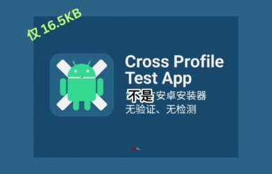Cross Profile Test App - 僅 16.5KB，卡bug卡出第三方安卓安裝器，無檢測、無驗證，所有應用都可以直接安裝? 3