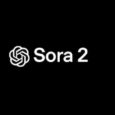 最新版国内直连Sora2，无水印免费使用教程