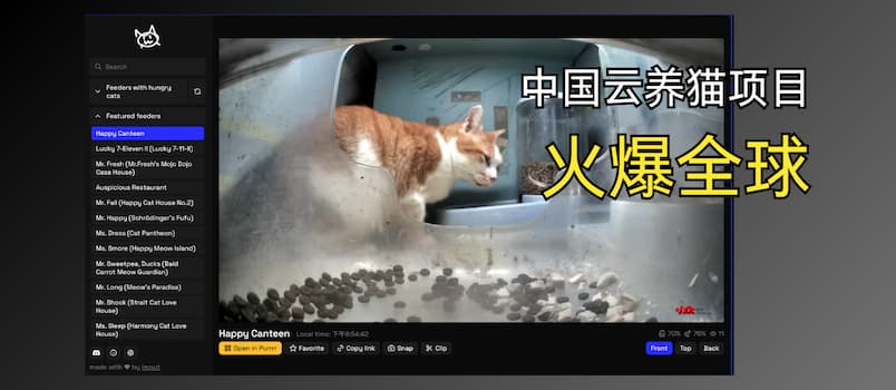 街貓火到國外啦！國外網(wǎng)友為中國云養(yǎng)貓創(chuàng)建貓咪檔案、投票、記錄...直播 1