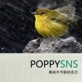[代招聘]PoppySNS 驻小众软件第四次招聘：PHP程序员 3