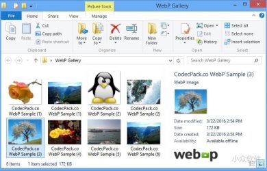 讓 Windows 圖片查看器支持 WebP 圖片格式 1
